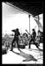 The_Seventh_Plague_Extreme_Thing_2008_Photos_By_Fred_Morledge_PhotoFM_030