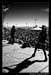 The_Seventh_Plague_Extreme_Thing_2008_Photos_By_Fred_Morledge_PhotoFM_038