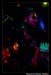 Otherwise_RockTheRoof_Diablos Cantina_181