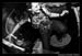 Pat_Monahan_RR_Wine_Photos_by_PhotoFM.com_241