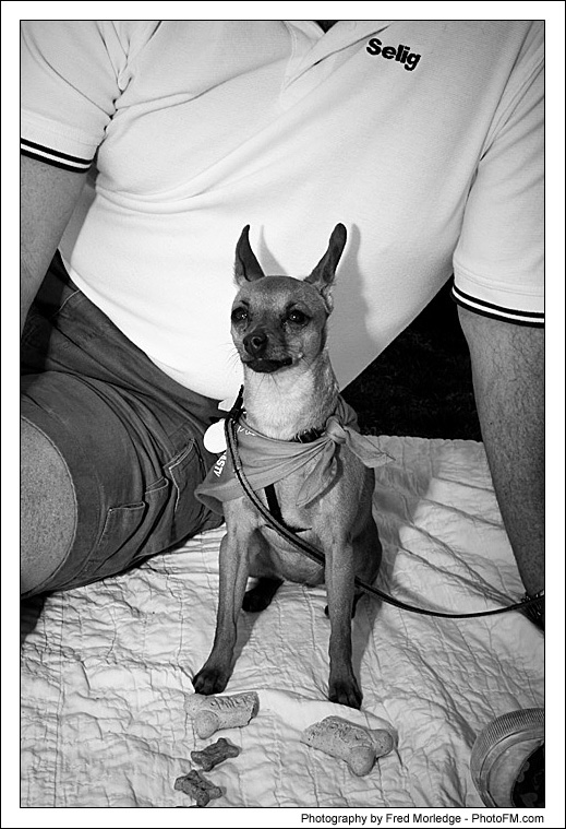 Pet-A-Palooza 2007 - Pooch Faces - 016