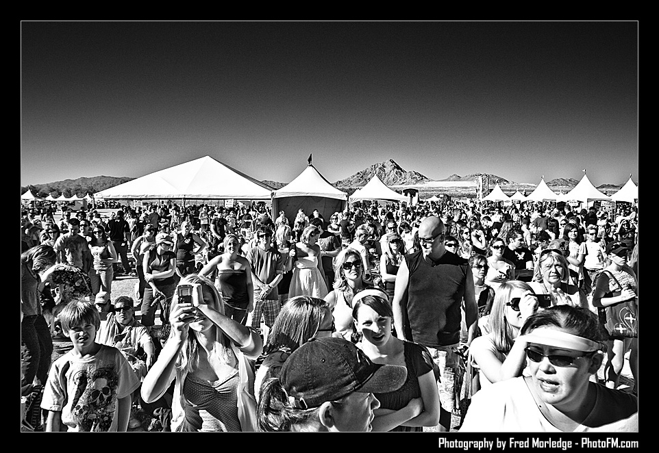 Petapalooza2008Crowd_015