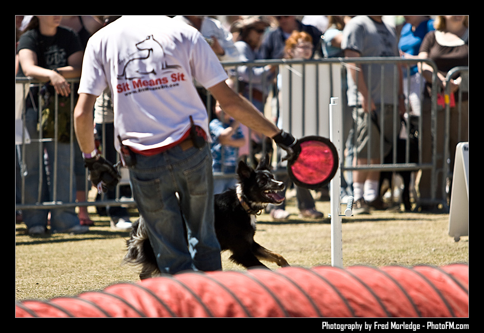 Petapalooza2008DogShowArena_001