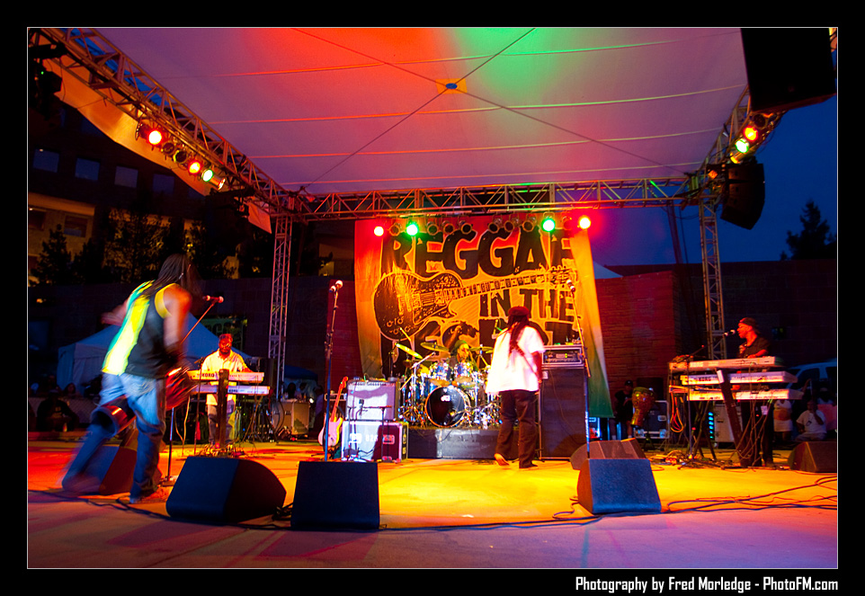 ReggaeInTheDesert2009ThirdWorld010