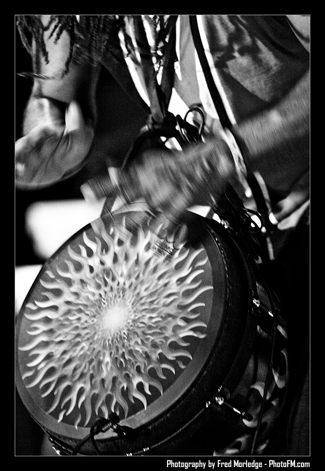 ReggaeInTheDesert2009ThirdWorld032
