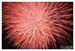 Fireworks - Red White and Boom 28