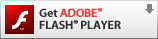 Download the latest flash player